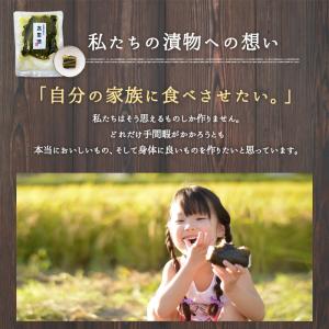 高菜漬け 乳酸発酵の高菜漬(2袋セット) 漬物...の詳細画像5
