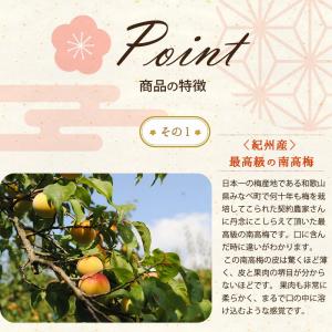梅干し はちみつ みちばあちゃんの梅干し「みつ...の詳細画像3