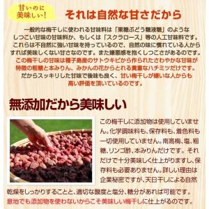 梅干し はちみつ みちばあちゃんの梅干し「みつ...の詳細画像5