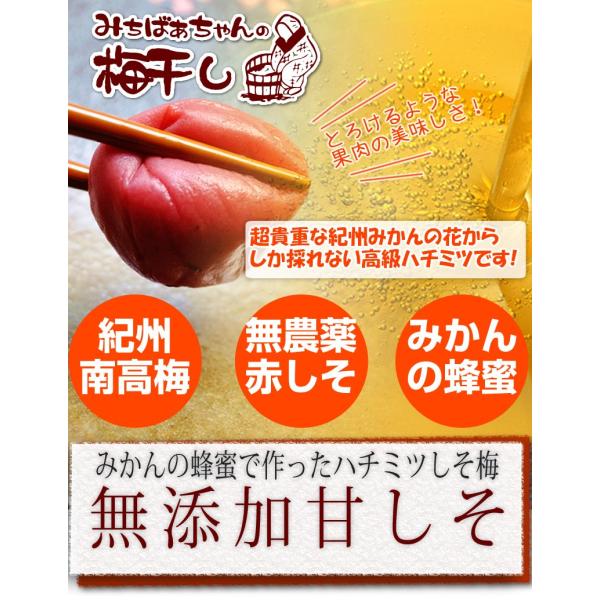 『みちばあちゃんの梅干し「甘しそ」4個セット』 100g×4  はちみつ はちみつしそ梅干し 無添加...