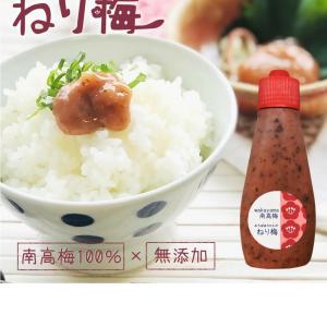 『梅肉 みちばあちゃんのねり梅「しそ梅」』 120g 梅干し 紀州南高梅100% 無添加 人気 おすすめ