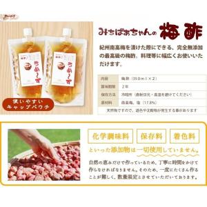 『みちばあちゃんの梅酢 うめ〜ず 350ml×...の詳細画像2