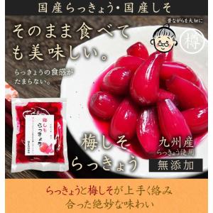 らっきょう 国産 梅しそらっきょう130g入り...の詳細画像3