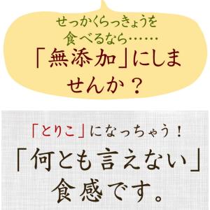 らっきょう 国産 梅しそらっきょう130g入り...の詳細画像2