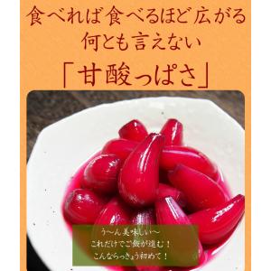 らっきょう 国産 梅しそらっきょう130g入り...の詳細画像4