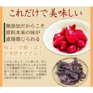 らっきょう 国産 梅しそらっきょう130g入り...の詳細画像5