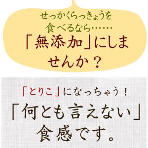 らっきょう 国産 ゆずらっきょう80g2袋セッ...の詳細画像2
