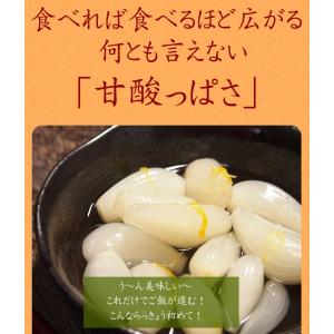 らっきょう 国産 ゆずらっきょう80g2袋セッ...の詳細画像4