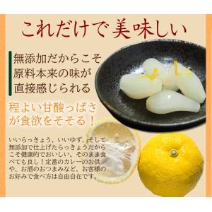 らっきょう 国産 ゆずらっきょう80g2袋セッ...の詳細画像5