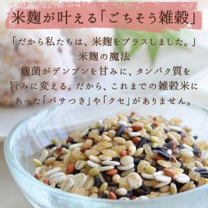 キレイ習慣 雑穀ごはん 20g×10包 国産 ...の詳細画像4