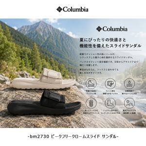 Colombia ピークフリークロームスライド...の詳細画像1