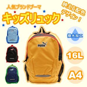 【PUMA】リュック 大容量 プーマ エイダン...の詳細画像1