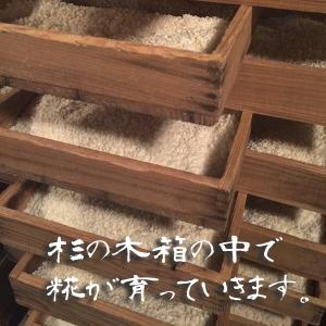 田清糀 1Kg 米農家の手作りこうじ 秋田県産...の詳細画像1