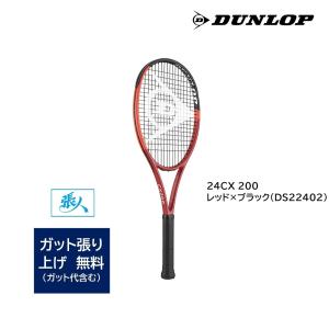 DUNLOP（ダンロップ） SX 300 ティール×イエロー ( DS22501 ) 選べる