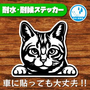 耐水・耐候ステッカー(猫 1)
