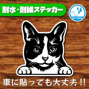 耐水・耐候ステッカー(猫 2)