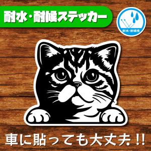 耐水・耐候ステッカー(猫 3)