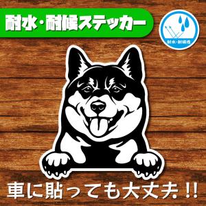 耐水・耐候ステッカー(柴犬)