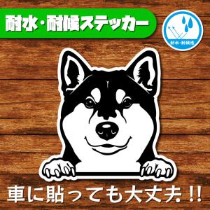 耐水・耐候ステッカー(柴犬 2)