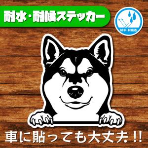 耐水・耐候ステッカー(柴犬 3)