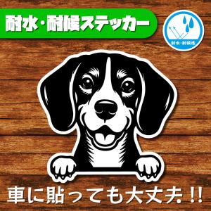 耐水・耐候ステッカー(ビーグル)