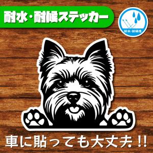 耐水・耐候ステッカー(ヨークシャーテリア)