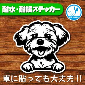 耐水・耐候ステッカー(マルチーズ)
