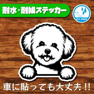 耐水・耐候ステッカー(ビションフリーゼ)