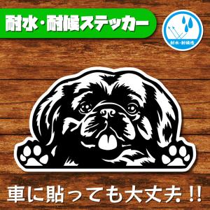 耐水・耐候ステッカー(ペキニーズ)