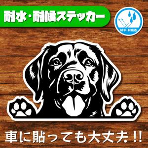 耐水・耐候ステッカー(ラブラドールレトリバー 黒)