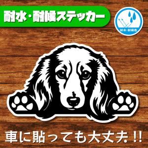 耐水・耐候ステッカー(ダックスフント 5)