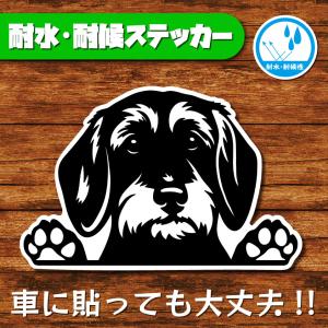 耐水・耐候ステッカー(ダックスフント 6)