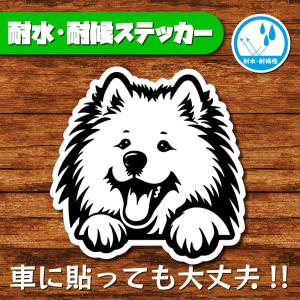 耐水・耐候ステッカー(日本スピッツ)