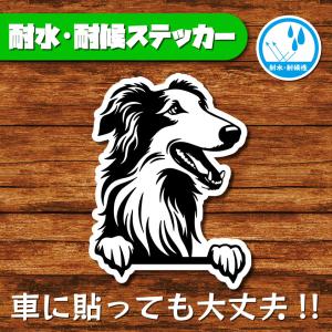 耐水・耐候ステッカー(ボルゾイ)
