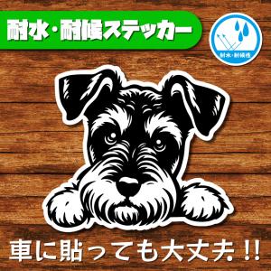 耐水・耐候ステッカー(ミニチュアシュナウザー 4)