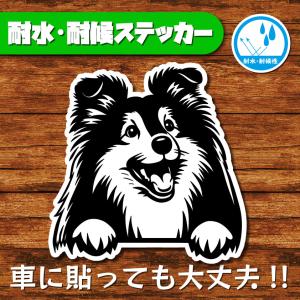 耐水・耐候ステッカー(シェルティー)の商品画像