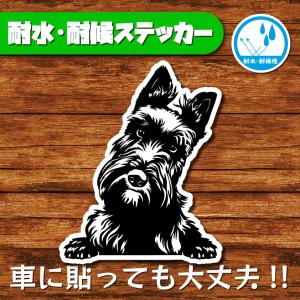 耐水・耐候ステッカー(スコティッシュテリア)の商品画像