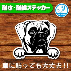耐水・耐候ステッカー(ボクサー)