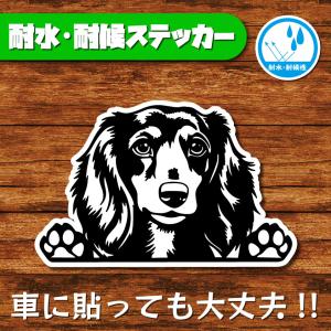 耐水・耐候ステッカー(ダックスフント 4)