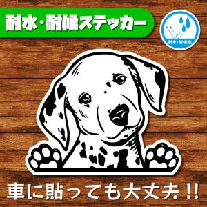 耐水・耐候ステッカー(ダルメシアン)