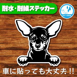 耐水・耐候ステッカー(ミニチュアピンシャー)