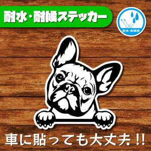 耐水・耐候ステッカー(フレンチブルドッグ 白)
