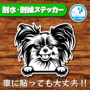 耐水・耐候ステッカー(パピヨン)