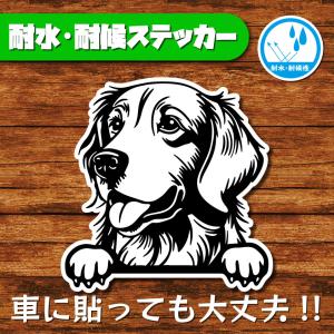 耐水・耐候ステッカー(ゴールデンレトリバー)