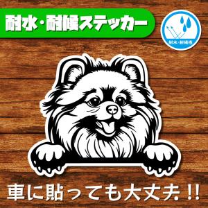 耐水・耐候ステッカー(ポメラニアン)