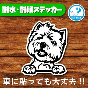 耐水・耐候ステッカー(ウェスティ)