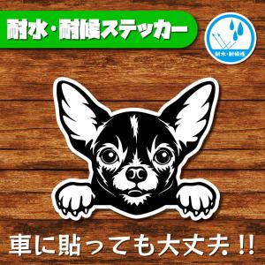 耐水・耐候ステッカー(スムースコートチワワ)