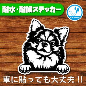 耐水・耐候ステッカー(ロングコートチワワ)