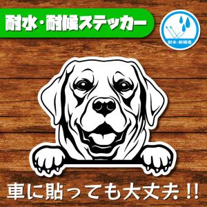 耐水・耐候ステッカー(ラブラドールレトリバー)