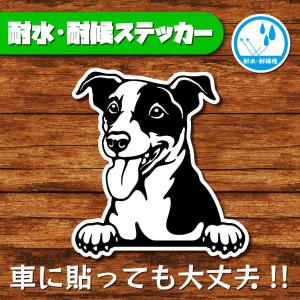 耐水・耐候ステッカー(ジャックラッセルテリア)の商品画像